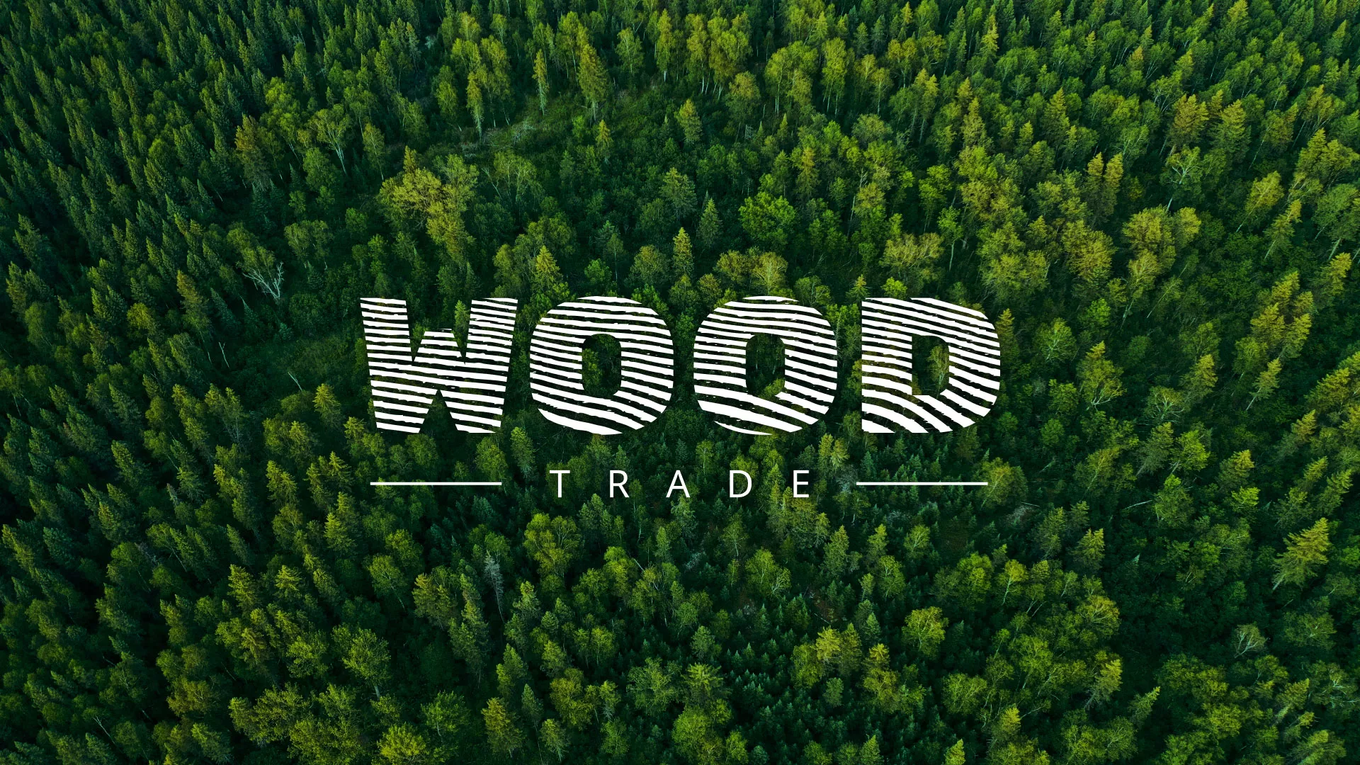 Разработка интернет-магазина компании «Wood Trade» в Набережных Челнах